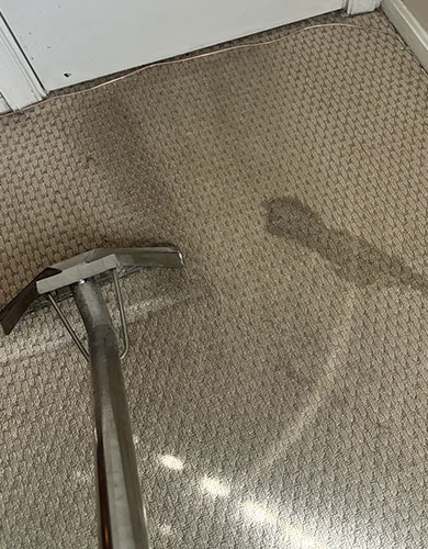 Carpet Steam Cleaning