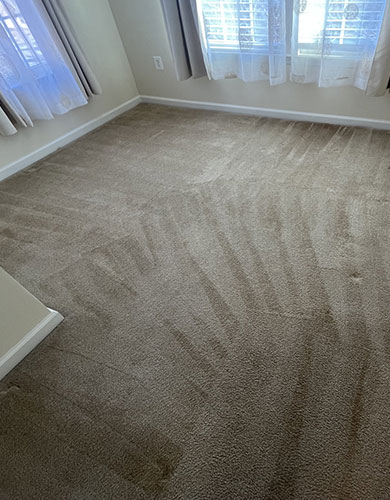 Professional Carpet Cleaning
